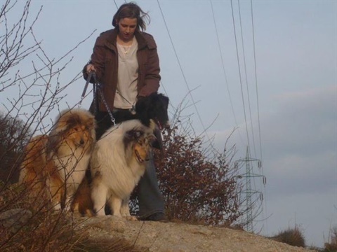 odrey, konti, anima.jpg