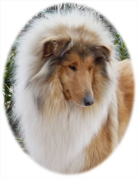 Ailine 11.jpg