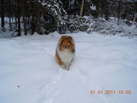 DSCN0067.jpg