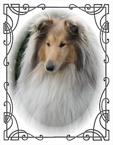 nobless fatransky sen.jpg