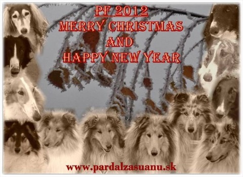pf 2012.jpg
