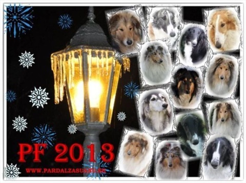 PF 2013.jpg