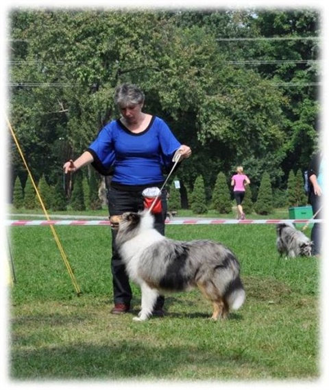 Obrázok46.jpg