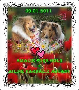 roky a ailinka 