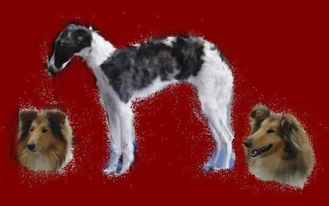 do noviniek.jpg