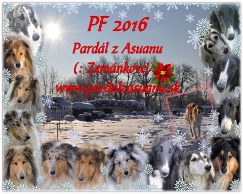 pf 2016.jpg