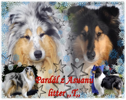 ginevra a nip tuck vom old tom.jpg