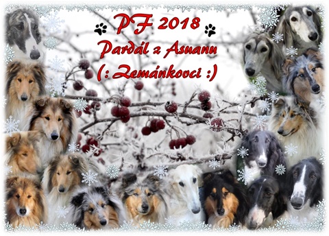 pf 2018.jpg