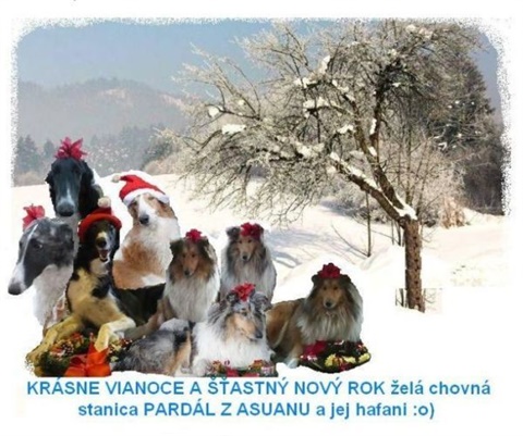 vianocna pohladnica.jpg