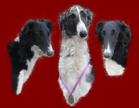 Yanna, Desiree, Avrilia.jpg