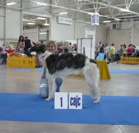 obcan 063.jpg