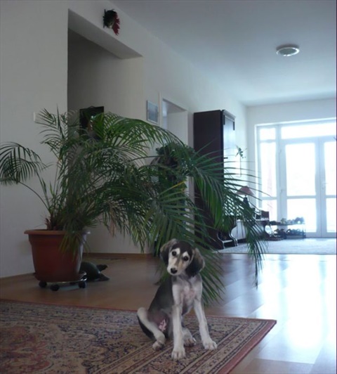 Asianne 2m 042.jpg