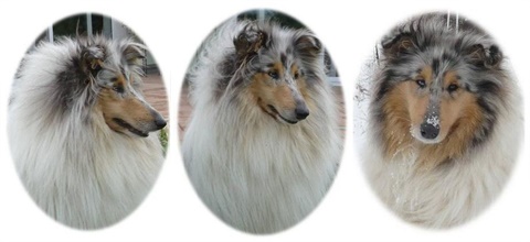 Konti 1,2,3.jpg