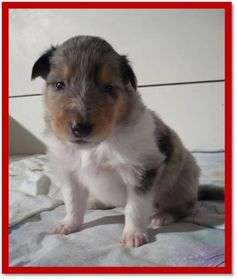 fenka č.3.jpg