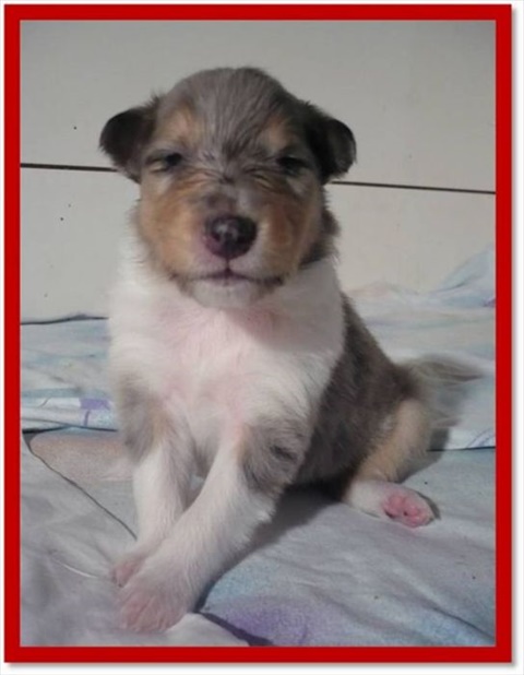 fenka č.4.jpg