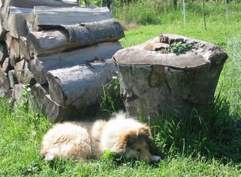 Obrázok 096.jpg