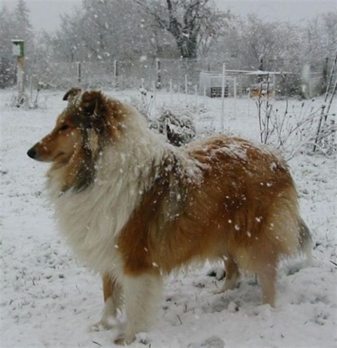 100-0004_IMG_10.jpg