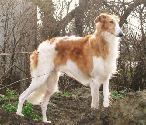 Snímek 032.jpg