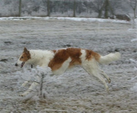 100-0030_IMG.jpg