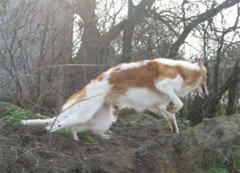 Snímek 036.jpg