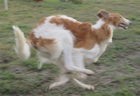 Snímek 046.jpg