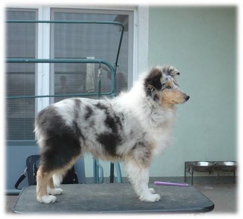 Befandriana postoj.jpg