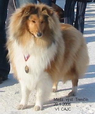 MVP Trenčín, január 2006.jpg