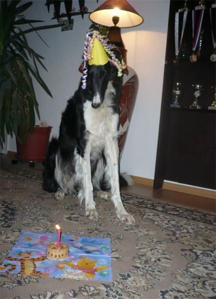 Obrázok 284.jpg