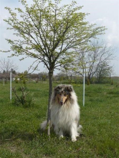 Obrázok 790.jpg