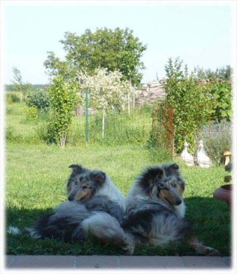 Obrázok4.jpg