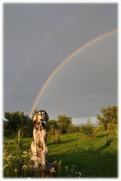 annie a duha.jpg