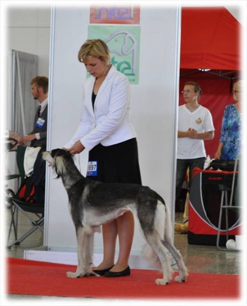 Obrázok33.jpg