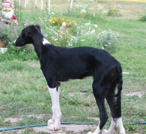 Obrázok 510.jpg