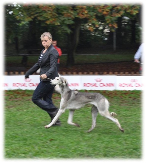 Obrázok34.jpg