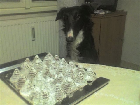 17-12-08_1817.jpg