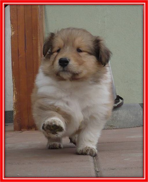 Cindibad1.jpg