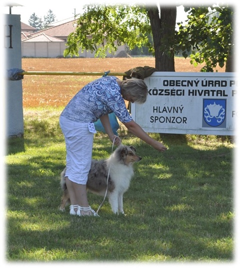 Obr&aacute;zok18.jpg