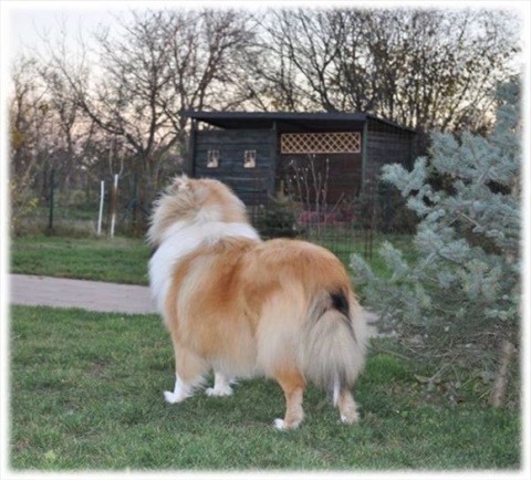 Obrázok14.jpg