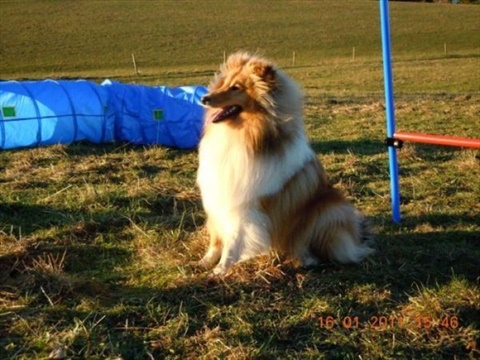 DSCN0084.jpg
