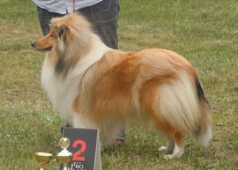 DSCN0780.jpg