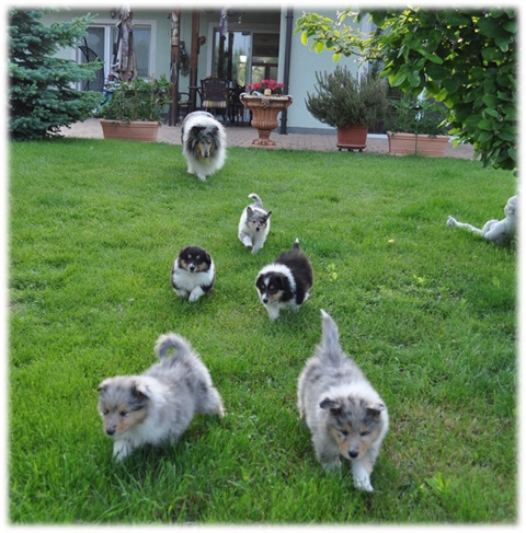 Obrázok3.jpg