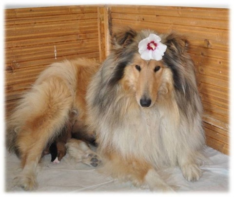 Obrázok3.jpg