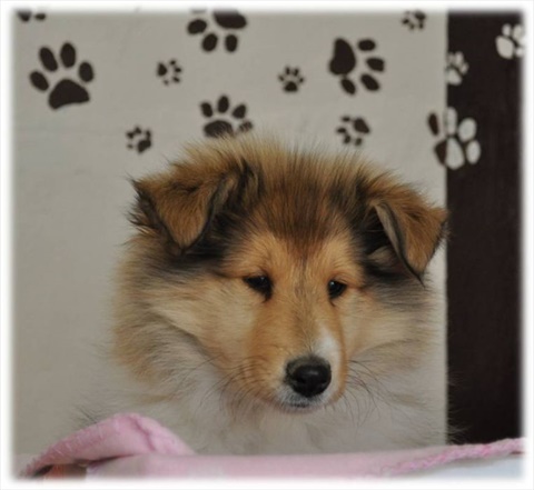 Daphne11.jpg