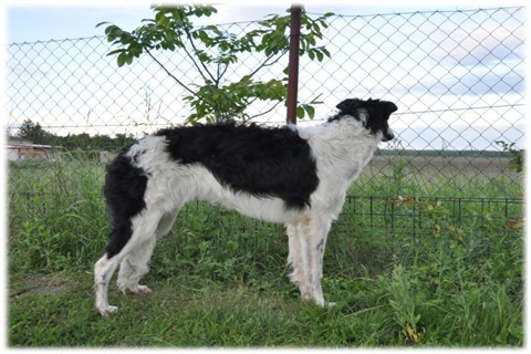 Obr&aacute;zok39.jpg