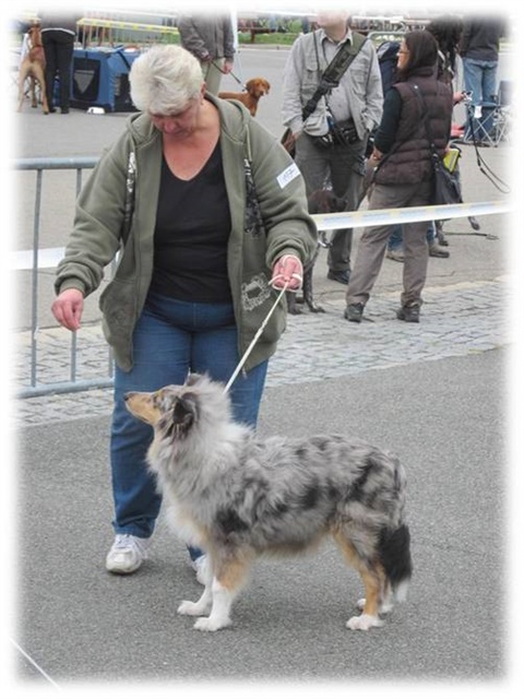 Obrázok10.jpg