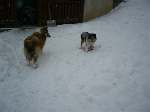 Obrázok 093.jpg