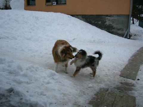 Obrázok 158.jpg
