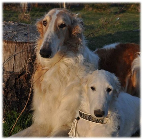 Knut a Aris 2.jpg
