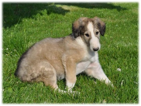 phoeby2.jpg