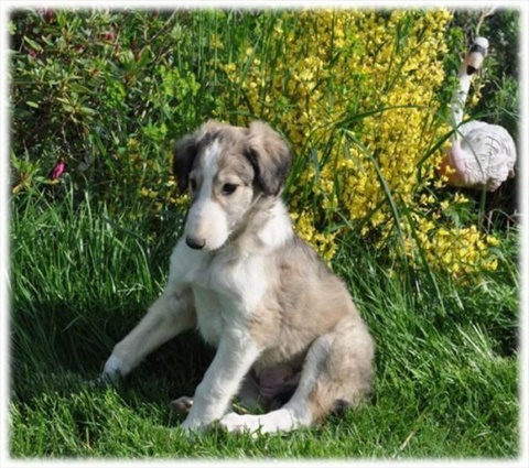 phoeby4.jpg